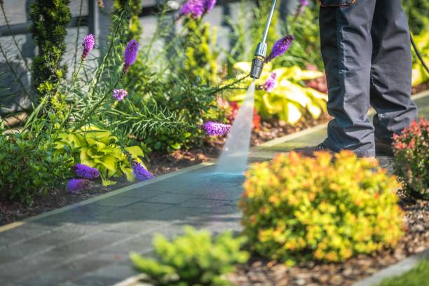 Trusted Holly Hill, FL Pressure Washing Experts