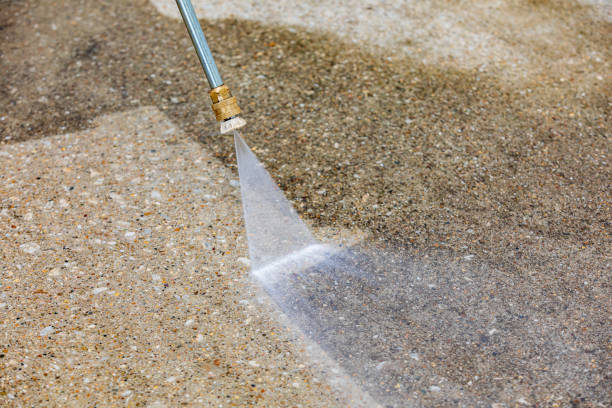 Best Driveway Pressure Washing  in Holly Hill, FL